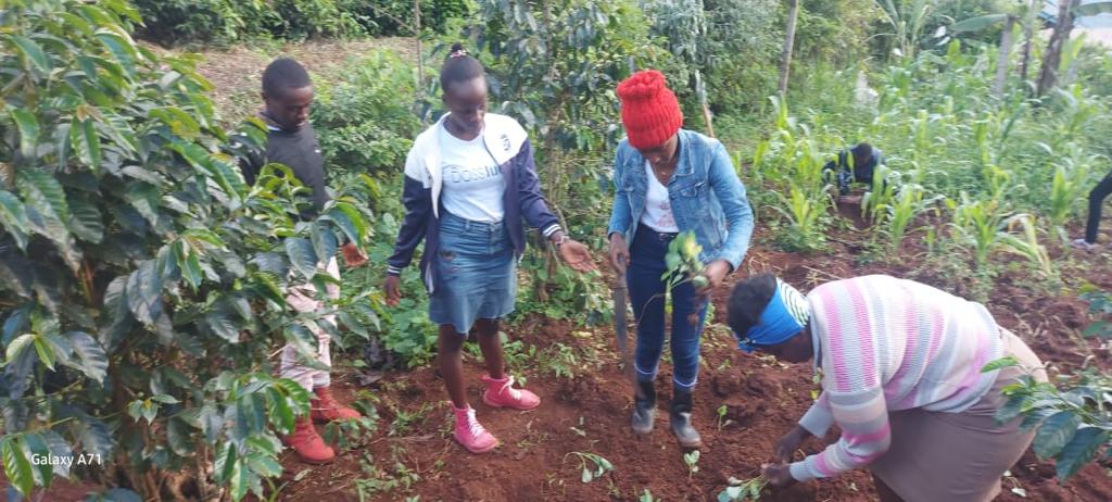 Tree planting activity