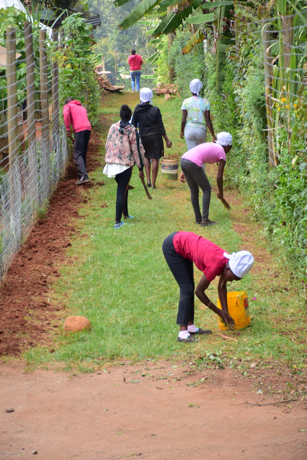 Community clean-up drive