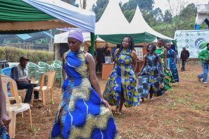 Fashion and tailoring showcase