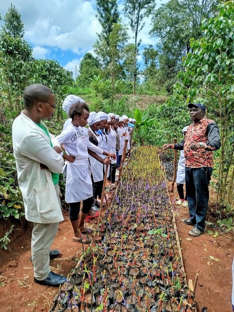 Learners participating in climate-smart practical training
