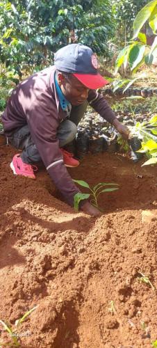 WhatsApp-Image-2024-01-25-at-08.16.04-1