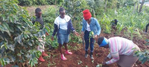 WhatsApp-Image-2024-01-25-at-08.16.05-1