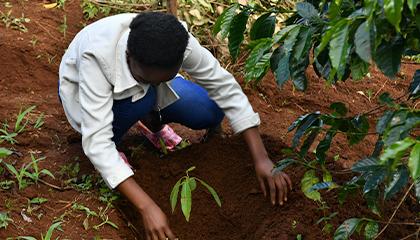 360 Climate Institutes Youth planting trees
