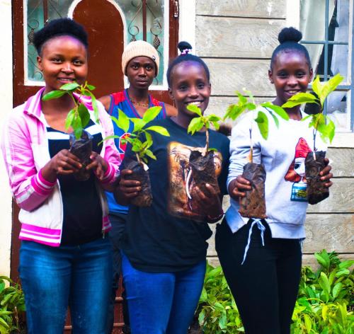 360 Climate Institutes Youth planting trees